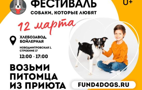 Благотворительный фестиваль » Собаки,которые любят»